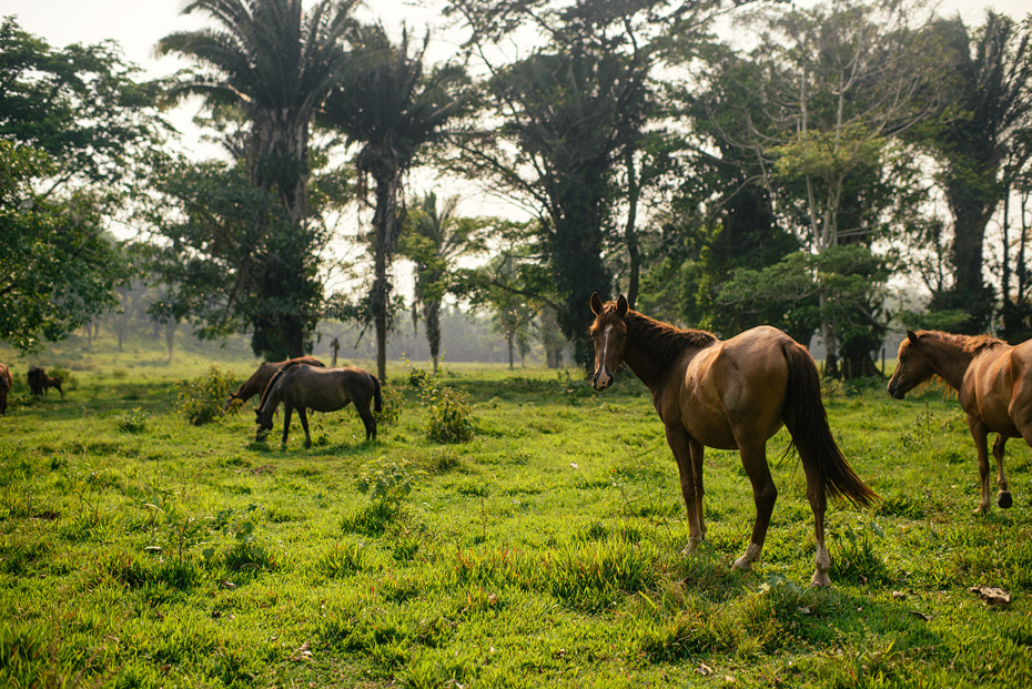 Guatemala