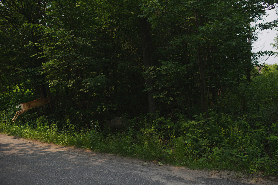 Jen and Dan - Muskoka Wedding