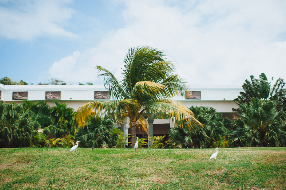 Genista and Graham - Jamaica Wedding