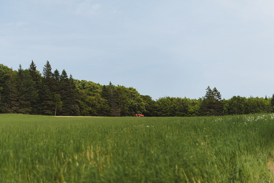 PEI Farm Wedding